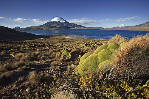 Lauca National Park